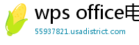 wps office电脑版下载